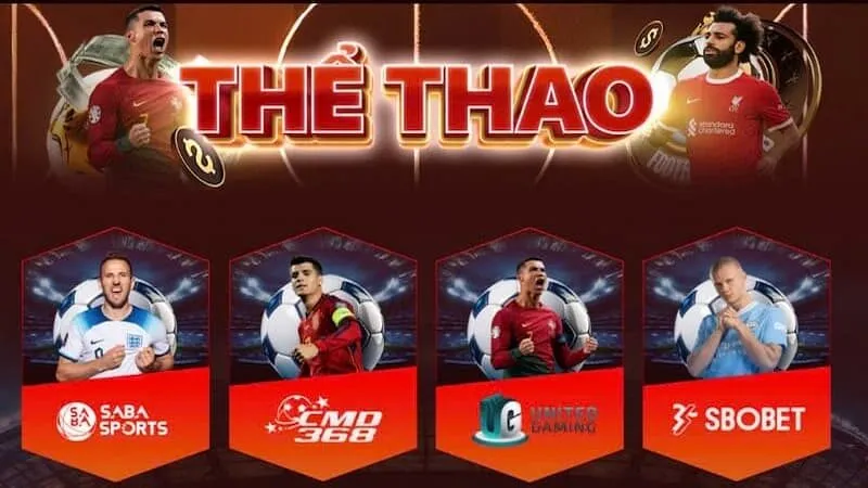 Khám phá các bộ môn hấp dẫn có tại sảnh thể thao ABC8